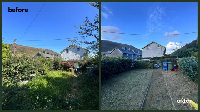 Picture showing before and after garden hedge maintenance and trimming completed by Hawkins Garden Services of Tywyn
